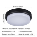 LED wall light 30W Round Exterior, 6500k, Black, Applied outdoors