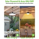 Solar lamp with solar panel