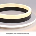 LED Chandelier 20W - 2 Circles, 3 color steps (Cool White, Neutral, Warm), Modern Design, 24x10x6 cm, White