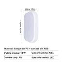 LED wall light 12W Oval Exterior, 6500k, White, Applied outdoors