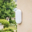 LED wall light 12W Oval Exterior, 4000k, White, Applied outdoors