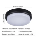 LED wall light 30W Round Exterior, 4000k, Black, Applied outdoors