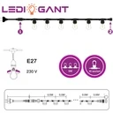LED light garland 5m, 10 bulbs included (E27), interconnectable, IP65, for terrace, garden and events