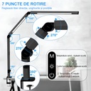 Dual LED Desk Lamp, Eye Protection, 5 intensity levels, 4 color temperatures 3000k-6500k, foldable, no flicker, aluminum material, 12W, 700 lumens, Black