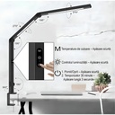 Dual LED Desk Lamp, Eye Protection, 5 intensity levels, 4 color temperatures 3000k-6500k, foldable, no flicker, aluminum material, 12W, 700 lumens, Black