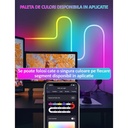 Flexible RGBIC Neon Led Strip, 3M length, app control, multiple functions, color palette, music synchronization, multiple modes, IP67, Alexa and Google voice control, timer, adjustable brightness, adjustable speed, remote control