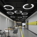 Suspended LED ceiling light 48W, Form C, 60 cm, 6500k, Black