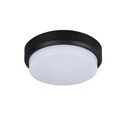 LED wall light 30W Round Exterior, 6500k, Black, Applied outdoors